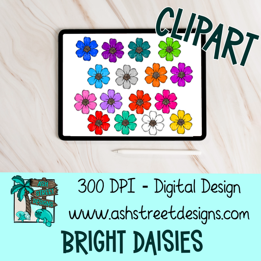 Clipart Set - Bright Daisies