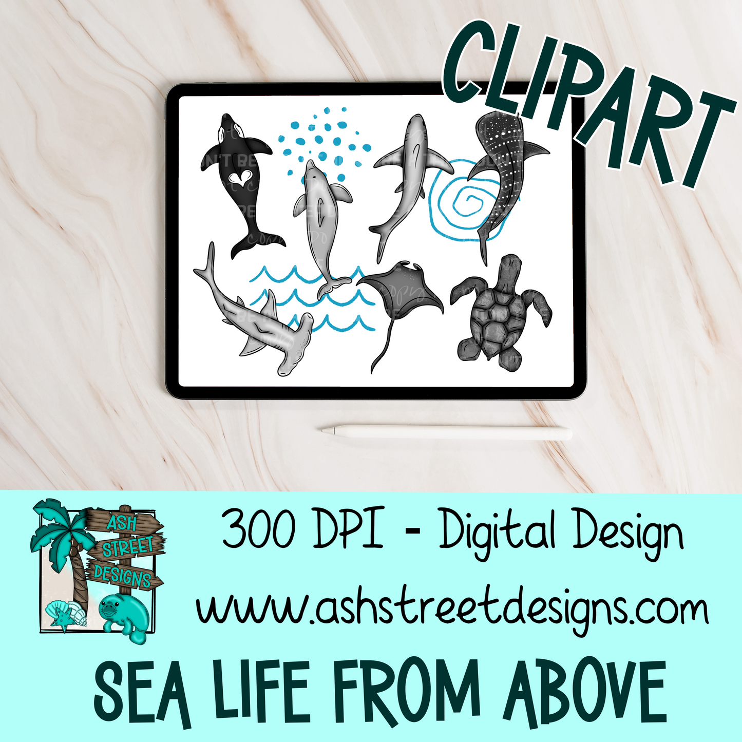 Clipart Set - Sea Life from Above